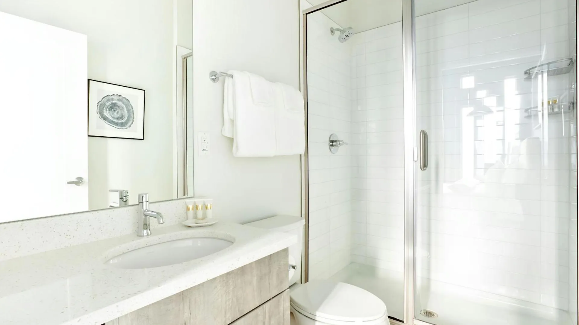 Sonder By Marriott Bonvoy Zuni Apartments Lohi DEN